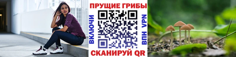 Галлюциногенные грибы мицелий Курлово