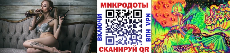 Псилоцибиновые грибы Cubensis  Курлово 